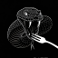 Snake Diet Discord Server Logo