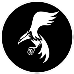 Futsal Mexa Discord Server Logo