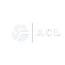 VirtuaLeagues  (ACL Discord Server Logo