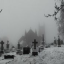 graveyard Discord Server Logo