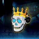 Waliiidr's Discord Server Logo