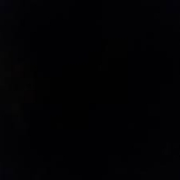 PHIBI Official Discord Server Logo