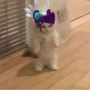 Leafvix Hangout - Chill Server Discord Server Logo