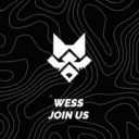 WithWess Discord Server Logo