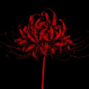 /rossa Discord Server Logo