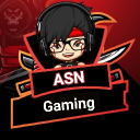 Ryuu Pirates Discord Server Logo