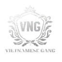 VietnameseG Discord Server Logo
