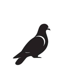 Pigeon Coop Discord Server Logo