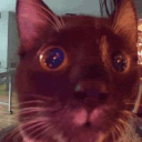 Jinxy Discord Server Logo