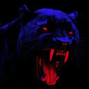 DOUGY SERVER Discord Server Logo