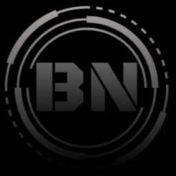 Blackout Networks Discord Server Logo