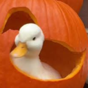 quack Discord Server Logo