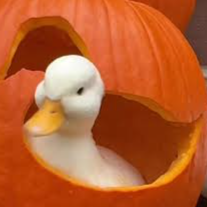 quack Discord Server Logo