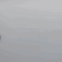 quack Discord Server Logo
