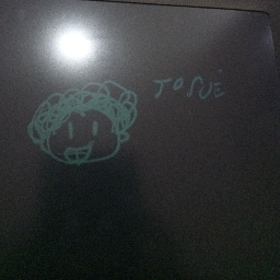 Blox fruit Discord Server Logo