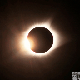 < Eclipse 🌒 > Discord Server Logo