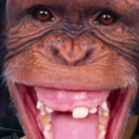 constant.( Discord Server Logo