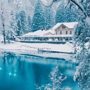 Snowy’s Paradise Discord Server Logo