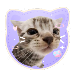 cat piss aka' /sillycats 🎀 Discord Server Logo