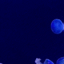Atlantis Discord Server Logo