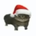 ЧКВ ФИОНЧИК Discord Server Logo