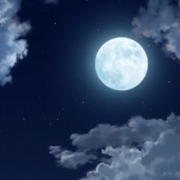 Shining Moon 🌙 Discord Server Logo