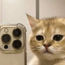 kitcord🐱 Discord Server Logo