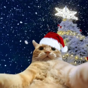 𝚃𝚑𝚎 𝙿𝚜𝚢𝚌𝚑 𝚆𝚊𝚛𝚍™ Discord Server Logo