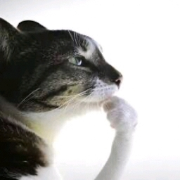 Lex's crew! Discord Server Logo