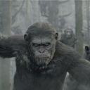Planet of the Apes {Roleplay} Discord Server Logo