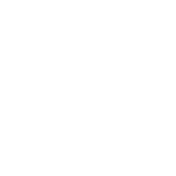 Publish Advertising Discord Server Logo