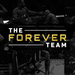 The Forever Team Discord Server Logo