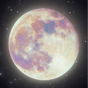 Moon & Her Stars Discord Server Logo