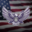 Los Santos Police Department #TR1 Discord Server Logo