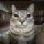 Le chatty server Discord Server Logo