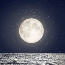 Moon Discord Server Logo