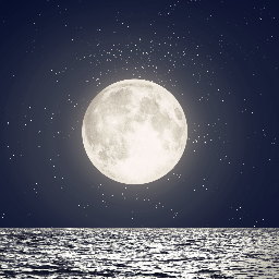 Moon Discord Server Logo