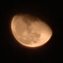 MoonFlower Discord Server Logo