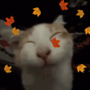 Carrd & Rentry + Discord Server Logo