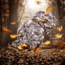 🍂 Discord Server Logo