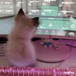 Cat cafe Discord Server Logo