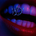 Neshan Wonder’s Discord Discord Server Logo
