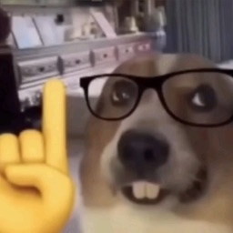 Pytho Discord Server Logo