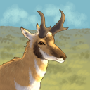 🌲 Critter Cabin Discord Server Logo