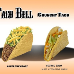 taco Discord Server Logo
