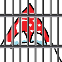 The Insane Asylum Inc. Discord Server Logo