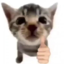 silly server Discord Server Logo