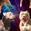 Huebraska Discord Server Logo