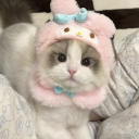 ❀࿐°. ༢.    𐔌🎀 ꒱  Catpie  .  Social  .  Active   . Giveaways. Discord Server Logo