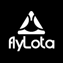 FlyLota Discord Server Logo